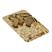 Zebratrio Magnet (Rechte Seite)