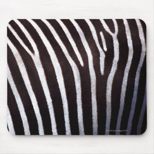 Zebraverstecke Mousepad (Vorne)