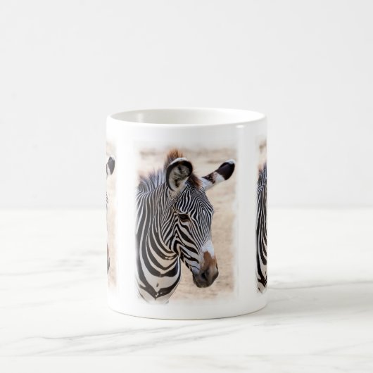 Zebre de Grevy Kaffeetasse (Mittel)