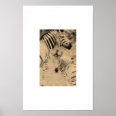 Zebrix Poster (Vorne)