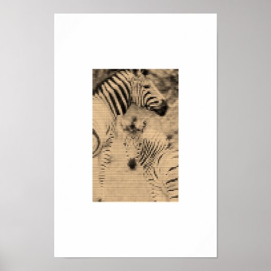 Zebrix Poster (Vorne)