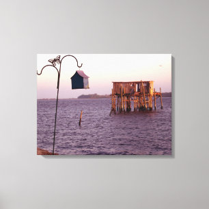 Zedar-Schlüsselbird-Feeder Leinwanddruck