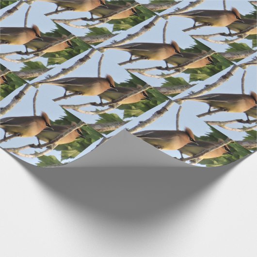 Zedar Waxwing - Backyard Bird - Wrapping Paper Rol Geschenkpapier (Ecke)