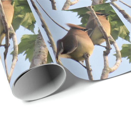 Zedar Waxwing - Backyard Bird - Wrapping Paper Rol Geschenkpapier (Rolleneckpunkt)