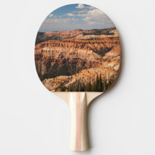 Zeder bricht nationales Monument, Utah Tischtennis Schläger