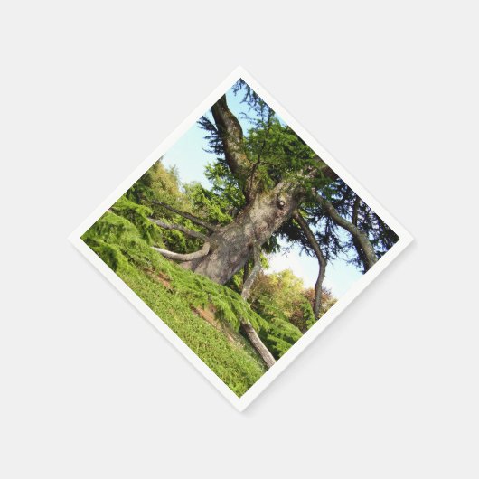 Zeder-Libanon-Baumbuch Napkins Serviette (Ecke)