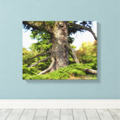 Zeder-Libanon Tree Canvas Print Leinwanddruck (Insitu (Holzboden))