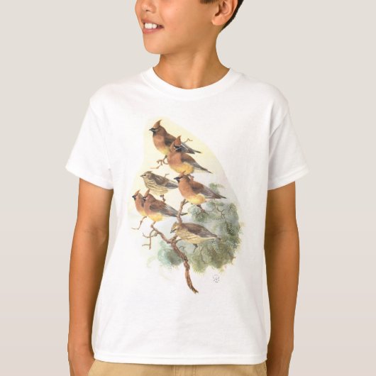 Zeder Waxwing T-Shirt (Vorderseite)