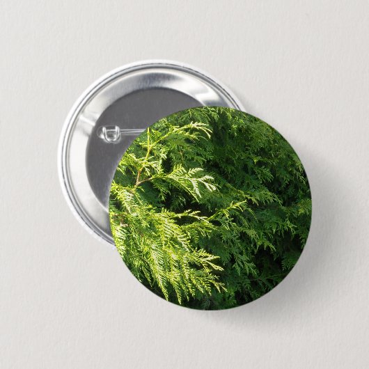 Zedern-Hecke Button (Vorne & Hinten)