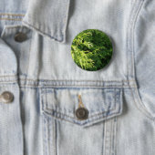 Zedern-Hecke Button (Beispiel)