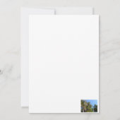 Zedern mit spanischem Moos Einladung (Rückseite)