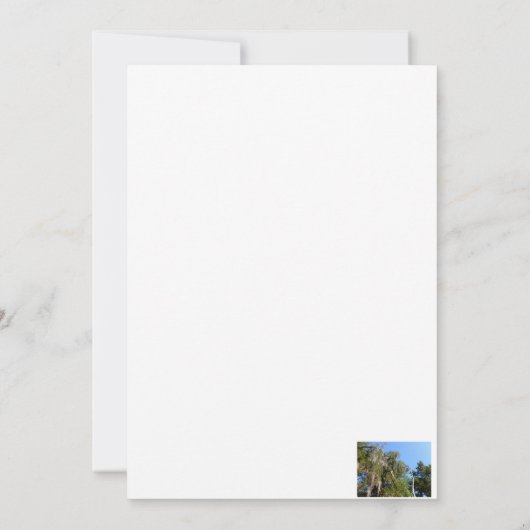 Zedern mit spanischem Moos Einladung (Rückseite)