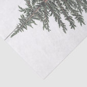 Zedernbaum Pflanze Seidenpapier (Ausschnitt)