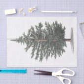 Zedernbaum Pflanze Seidenpapier (Handwerk)