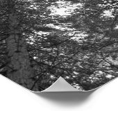 Zedernbaum Schwarz-Weiß-Waldposter Poster (Ecke)