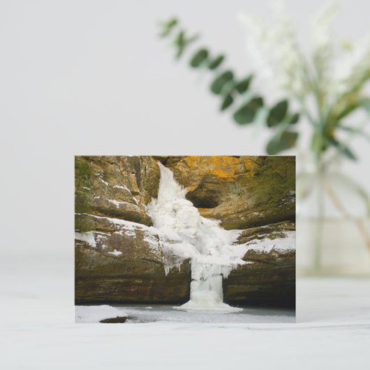 Zedernfälle im Winter, Hügel, Ohio Postkarte (Stehend Vorderseite)