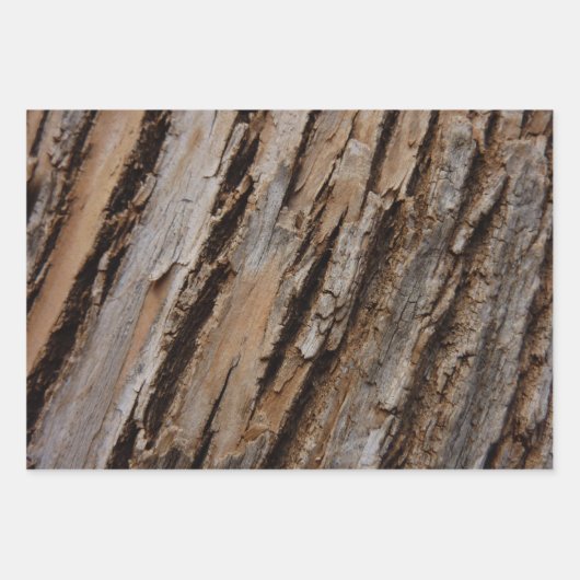 Zedernholzbrauenschau Geschenkpapier Set (Vorderseite 3)