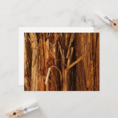 Zedernholzbrauenschau Karte (Vorderseite/Rückseite Beispiel)