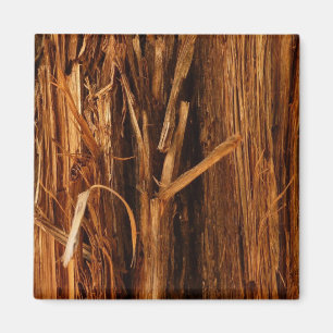 Zedernholzbrauenschau Magnet