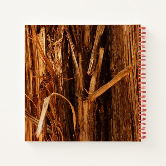 Zedernholzbrauenschau Notizblock (Rückseite)