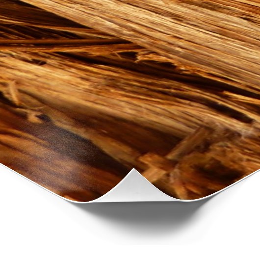 Zedernholzbrauenschau Poster (Ecke)