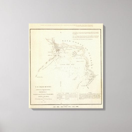 Zedernschlüssel, Fla Leinwanddruck (Vorderseite)