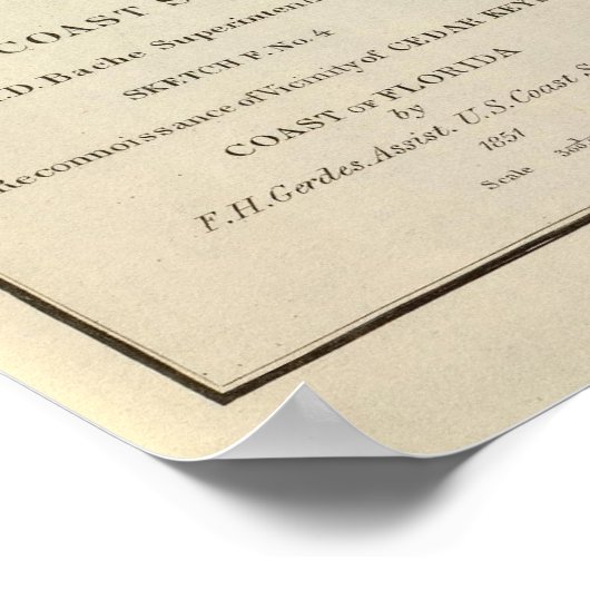 Zedernschlüssel, Fla Poster (Ecke)