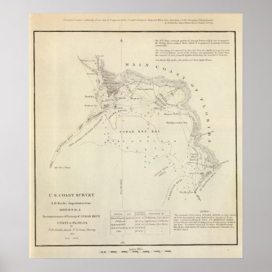 Zedernschlüssel, Fla Poster (Vorne)
