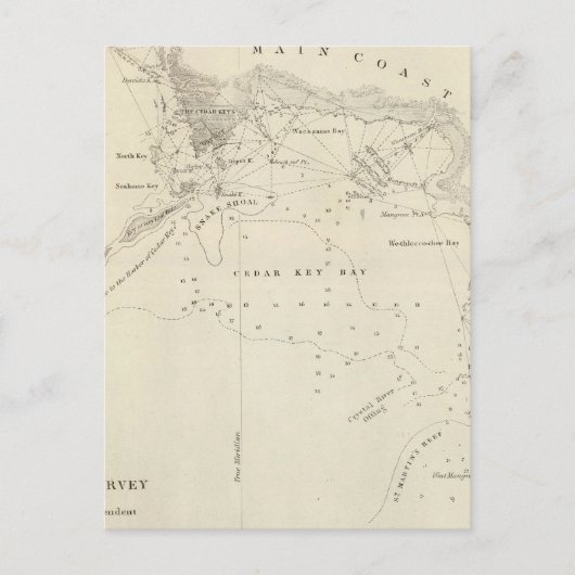 Zedernschlüssel, Fla Postkarte (Vorderseite)