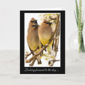 Zedernwadenvögel erhalten Wohlfühlkarte Karte (Vorderseite)