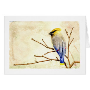 ZederWaxwing