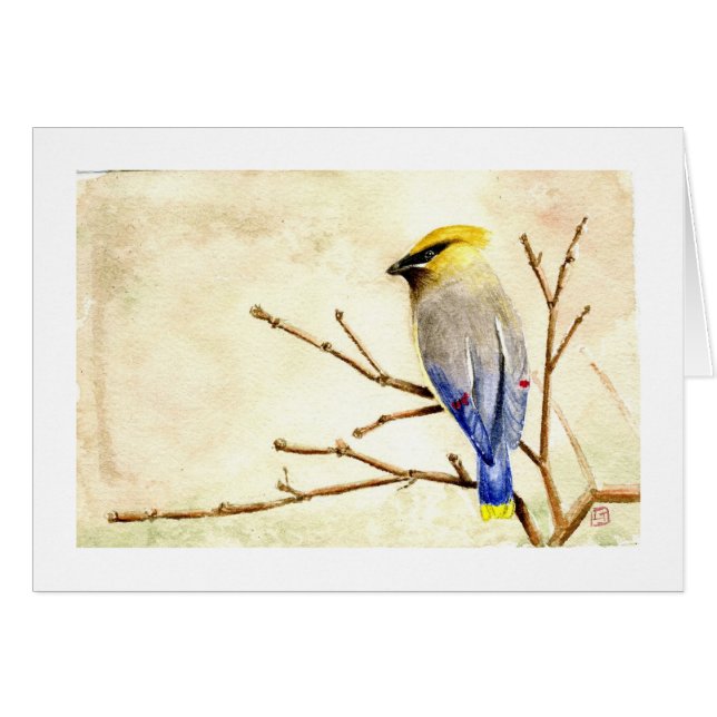 ZederWaxwing (Vorderseite (Horizontal))