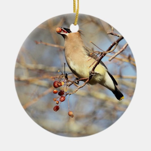 ZederWaxwing, der Beeren isst Keramik Ornament (Vorne)