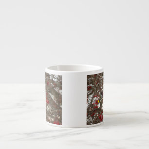 ZederWaxwing Espressotasse