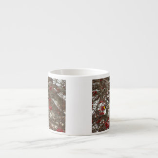 ZederWaxwing Espressotasse