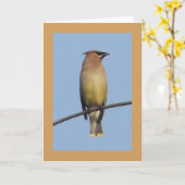 Zederwaxwing-Gruß-Karte Karte (Gelbe Blume)