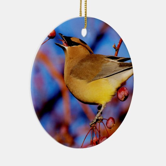 ZederWaxwing Keramikornament (Rechts)