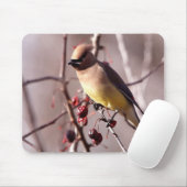 Zederwaxwing-Mausunterlage Mousepad (Mit Mouse)