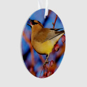 ZederWaxwing Ornament (Vorderseite)