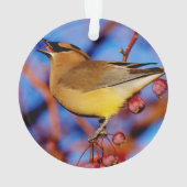 ZederWaxwing Ornament (Rückseite)