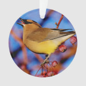 ZederWaxwing Ornament (Vorderseite)