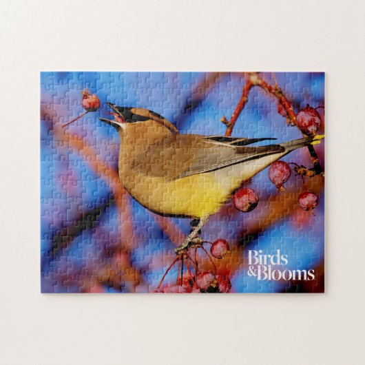 ZederWaxwing Puzzle (Horizontal)