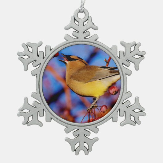 ZederWaxwing Schneeflocken Zinn-Ornament (Vorderseite)
