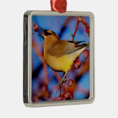 ZederWaxwing Silbernes Ornament (Rechts)