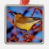 ZederWaxwing Silbernes Ornament (Vorne)