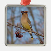 ZederWaxwing Silbernes Ornament (Vorne)