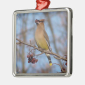 ZederWaxwing Silbernes Ornament (Links)