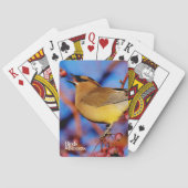 ZederWaxwing Spielkarten (Rückseite)