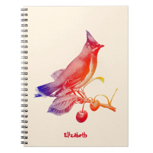 Zederwaxwing-transparentes Vogel-Notizbuch Notizblock