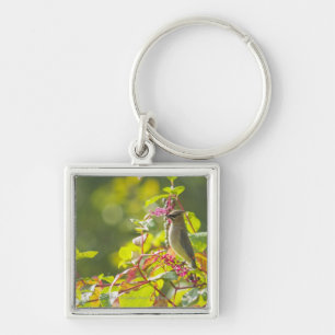 Zederwaxwing-und Poke-Beeren auf einem Baum Schlüsselanhänger